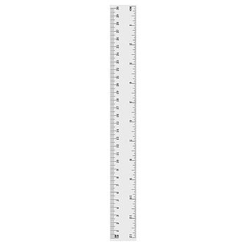 [REGLAPLASTICA] Regla Plastica De 12 Pulg.